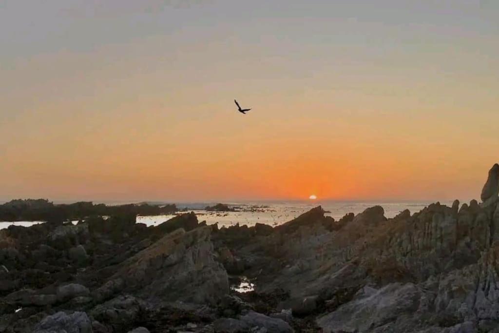 Hermanus Sea View Room Kültér fotó