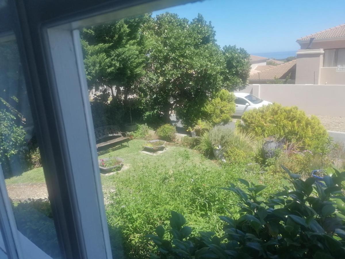 Hermanus Sea View Room Kültér fotó