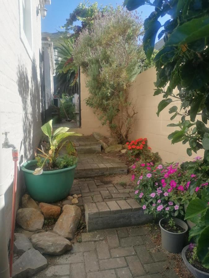 Hermanus Sea View Room Kültér fotó